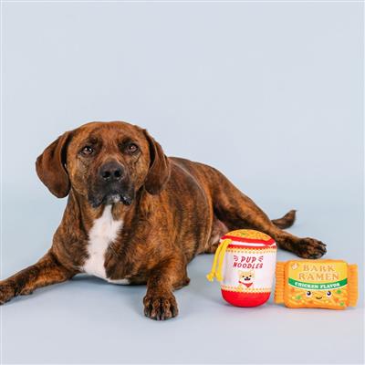 Nothin' But Noodles Plush Dog Toys Set of 2