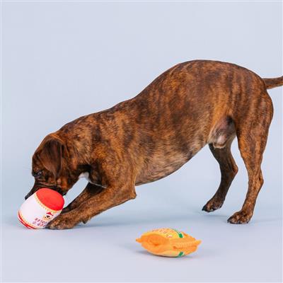 Nothin' But Noodles Plush Dog Toys Set of 2