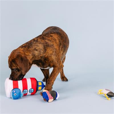 Ships Ahoy Hide And Seek Plush Dog Toy