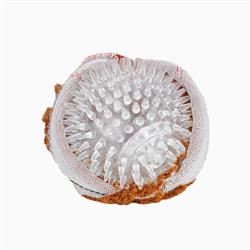 Extra Product Image