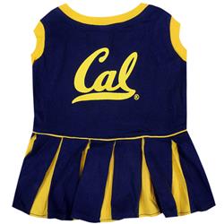 CAL CHEERLEADER