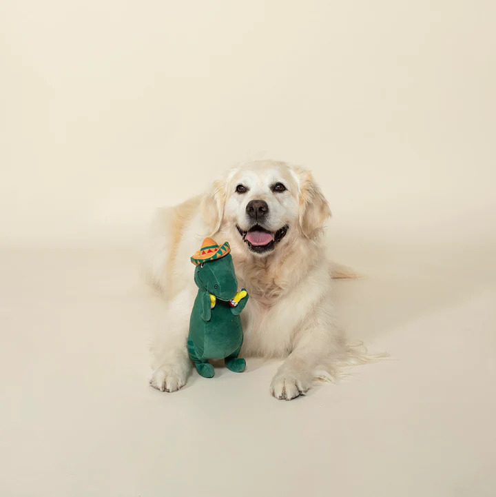Fringe Studio Hundespielzeug: Versteck- Und Suchspiel Mit Quietschern & Knisterpapier – Buntes Plüsch-Set Für Aktive Hunde