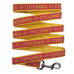 IOWA STATE LEASH