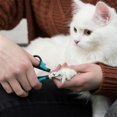 Pet Nail Clippers, 3"