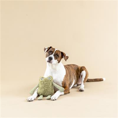 PetShop by Fringe Studio I Jump Around Earth Friendly Plush Dog Toy Large