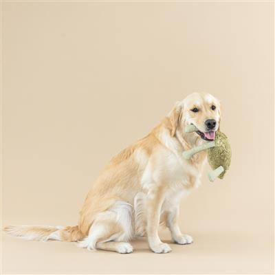 PetShop by Fringe Studio I Jump Around Earth Friendly Plush Dog Toy Large