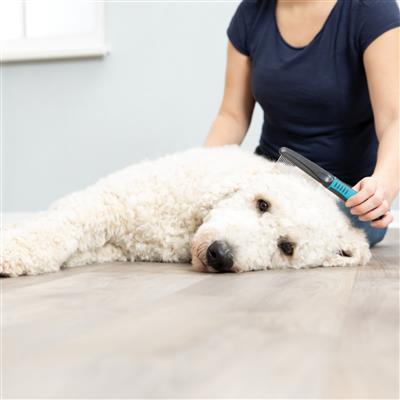 Pet Grooming Rake, Fine Teeth