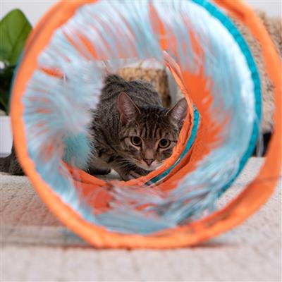 Instincts by SmartyKat Teaser Tunnel Spring-ended Activity Tunnel Cat Toy with Fringe & Attached Feather Teaser Cat Toy