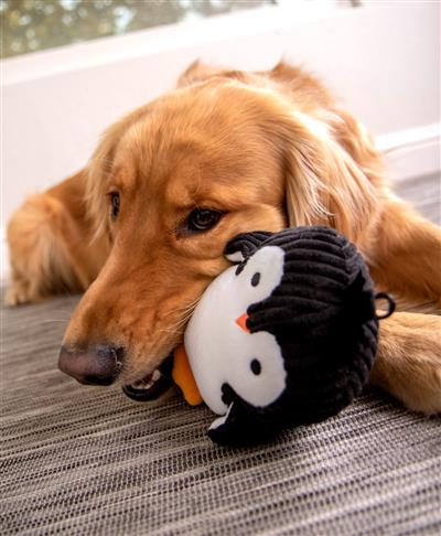 TrustyPup Penguin, Silent Squeak Soft Plush Chew Guard Dog Toy, Medium