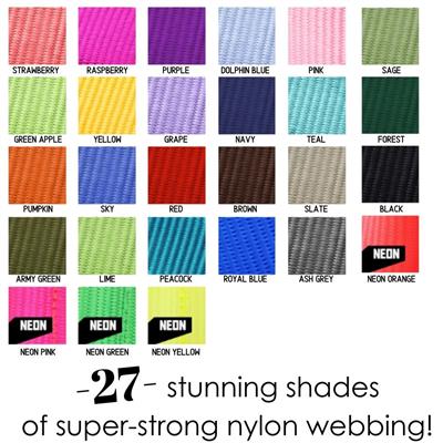 Nylon Webbing Dog Leashes - 23 Colors