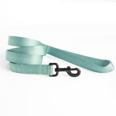 Nylon Webbing Dog Leashes - 23 Colors