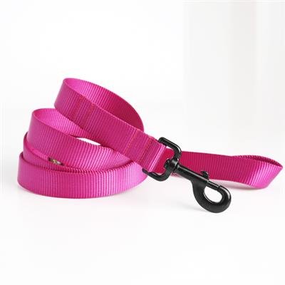 Nylon Webbing Dog Leashes - 23 Colors