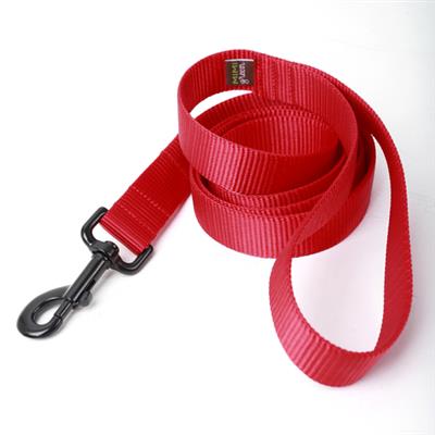 Nylon Webbing Dog Leashes - 23 Colors