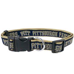 PITTSBURGH PANTHER