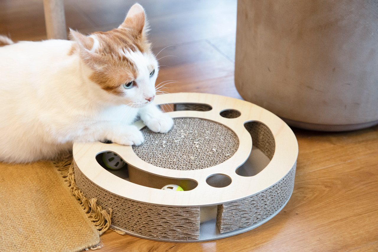 CAT SCRATCHER ROUND