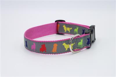 Rainbow Dogs on Raspberry - 1.25" Collars, Leashes and Harnesses