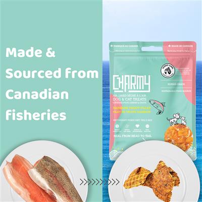 Rainbow Trout Fillet - Charmy Air-Dried Dog & Cat Treats, 2.60oz. Pouch