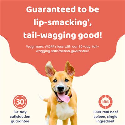 Beef Spleen - Charmy Air-Dried Dog & Cat Treats, 2.80oz. Pouch