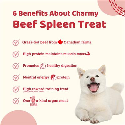 Beef Spleen - Charmy Air-Dried Dog & Cat Treats, 2.80oz. Pouch