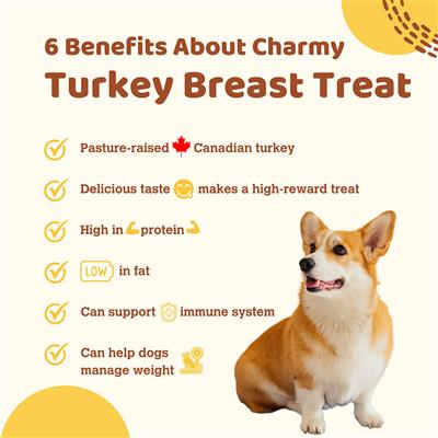Turkey Breast - Charmy Air-Dried Dog & Cat Treats, 3.20oz. Pouch