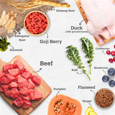 13.5 oz. Pouch, Beef & Duck Enrichment Recipe - When East Meets West Herbal Dog Food