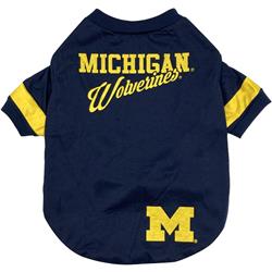 MICHIGAN STRIPE TEE