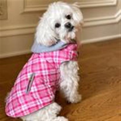 Weekender Dog Sweatshirt Hoodie - Pink and White Plaid