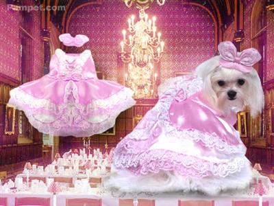 Barktoria Secret*