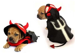 Devil Costume