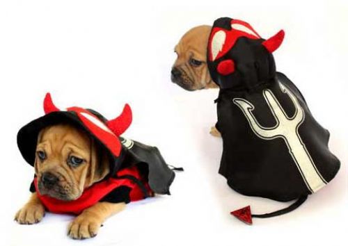 Devil Costume