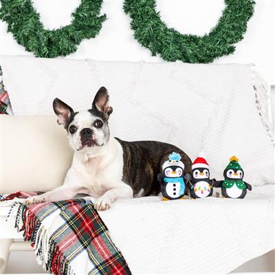 Have An Ice Christmas Small Plush Dog Toys Set Of 3