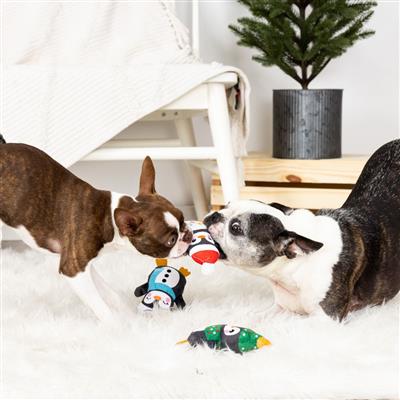 Have An Ice Christmas Small Plush Dog Toys Set Of 3
