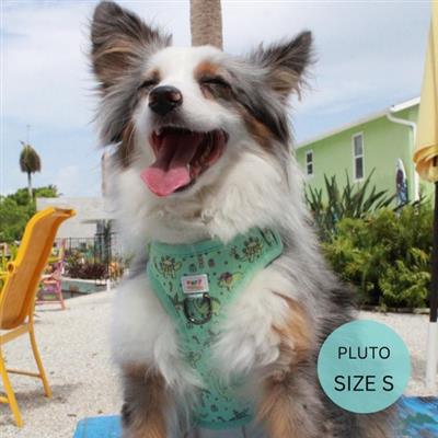 Dog Harness | Adjustable Dog Harness | Christmas Dinosaurs | Eco-Friendly Dog Harness | Neoprene | Soft Harness Vest | Christmas | Xmas | Holiday | Seasonal