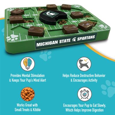 NCAA Michigan State Puzzle Toy