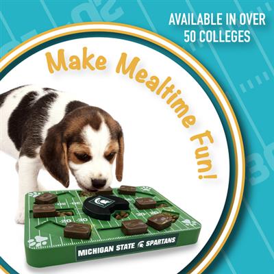 NCAA Michigan State Puzzle Toy