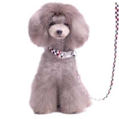 Contempo Collars & Leashes Discount Pack