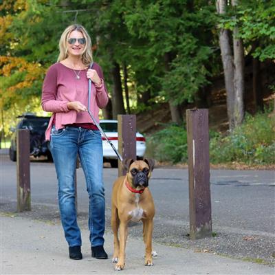 Padded Multi-Function Dog Leash, Black and Grey, 3/4" x 6'