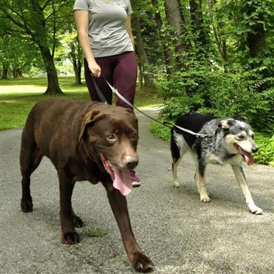 Padded Multi-Function Dog Leash, Black and Grey, 3/4" x 6'