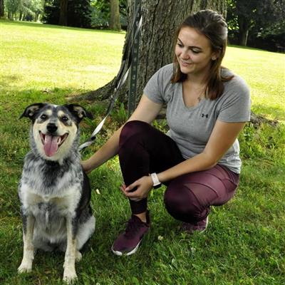 Padded Multi-Function Dog Leash, Black and Grey, 3/4" x 6'
