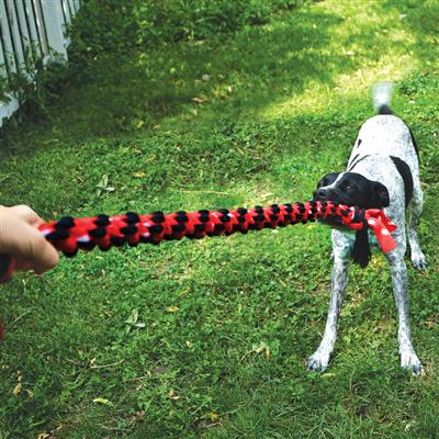 Signature Rope Double Ring Tug