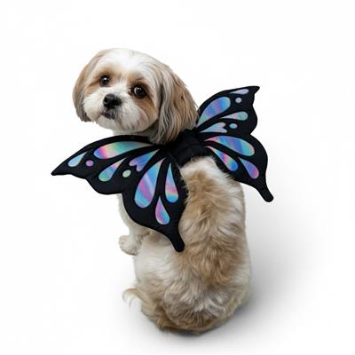 Butterfly Wings