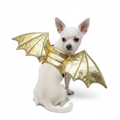 Gold Dragon Wings