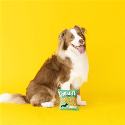 CHASE-IT! PLUSH DOG TOY