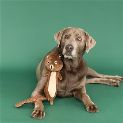 MR.GNAW IT ALL (FLATTIE) PLUSH DOG TOY
