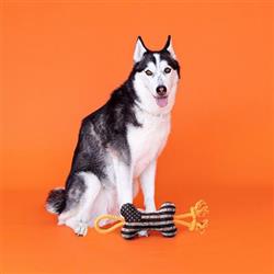 Extra Product Image