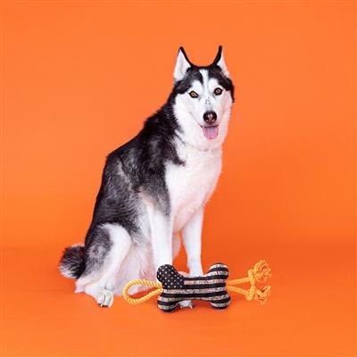 CAMO UP AMERICA PLUSH DOG TOY