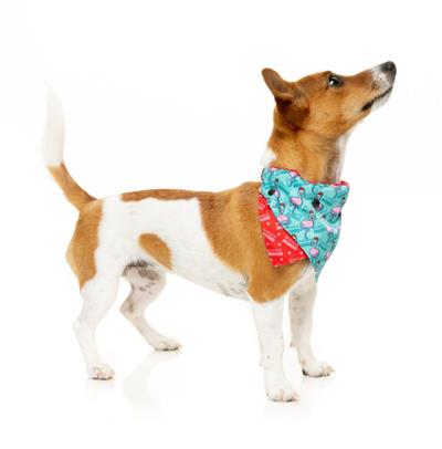 Bandana - Fa La La La Mingo
