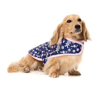 Wrap Vest - Pluto Pup
