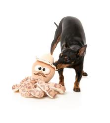 Extra Product Image