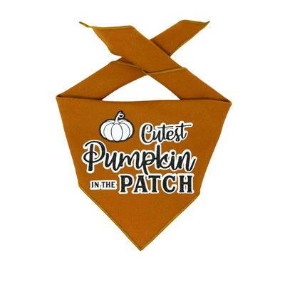 Pumpkin Spice | Halloween Dog Bandana | Flannel | Cutest Pumpkin in the Patch